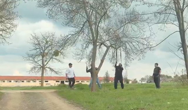 Eskişehir'de mangal keyfi için doğayı hiçe saydılar!