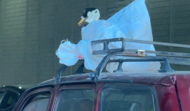 Eskişehir trafiğinde taşınan canlı görenleri şoke etti!