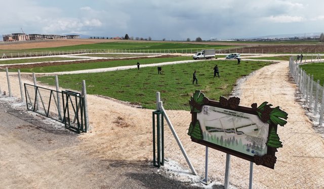 Eskişehir Fidanlar Kent Korusu’nda hayat buluyor