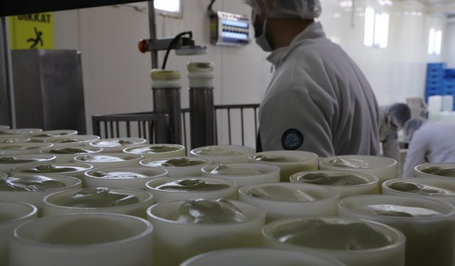 Eskişehir'deki proje büyüyor, rekor üretim yapıldı!