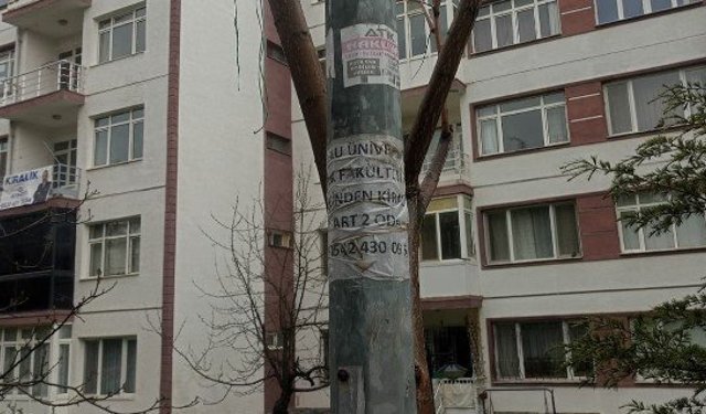 Eskişehir'de direkler ilan panosuna döndü!