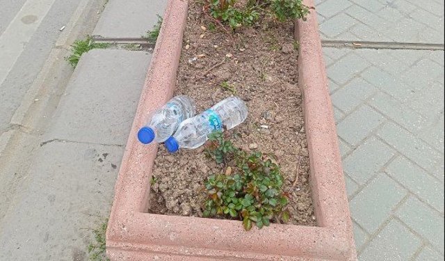 Eskişehir'de saksı çöplüğe döndü!