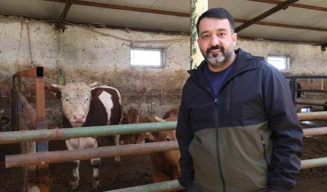 Eskişehir'de kurbanlık almak için geç kalmayın!