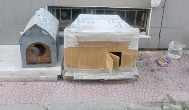 Eskişehir'de sokak hayvanları için alan