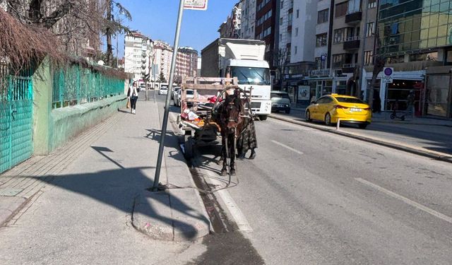 Eskişehir'de ilginç trafik engeli!