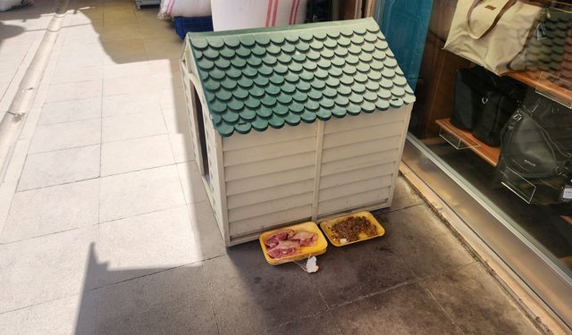 Eskişehir’de iyi niyet sokak hayvanlarına zarar veriyor!