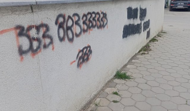 Eskişehir'de duvarlara izinsiz yazı