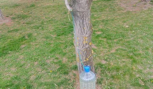 Eskişehir'de parkta duyarlı davranış