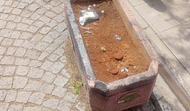 Eskişehir'de saksılar çöp alanına döndü