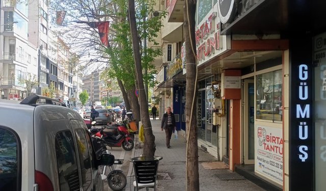 Eskişehir'de ağaca kablo çekildi