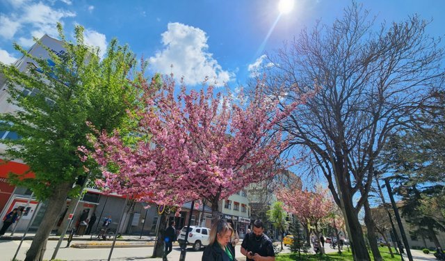 Eskişehir'de bahar yüzünü yeniden gösterdi!