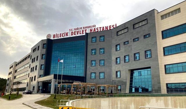 Bilecik'te acemi kasap mesaisi: 75 kişi yaralandı!