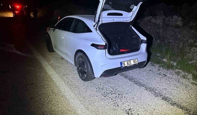 Bilecik'te önüne aniden çıkan köpeğe duramayarak çarptı