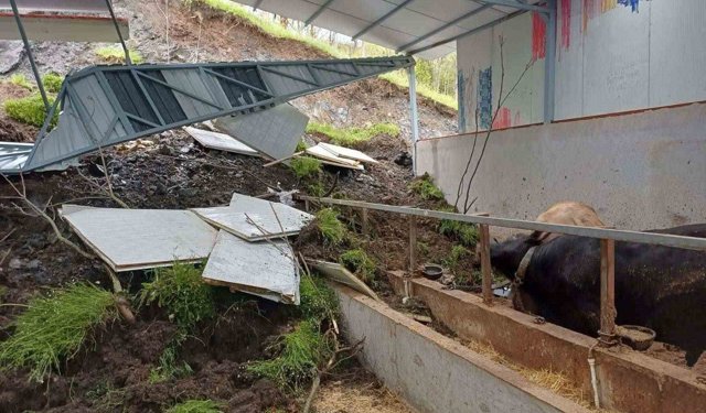 Bilecik'te toprak kayması: Besi çiftliğindeki hayvanlar toprak altında kaldı!
