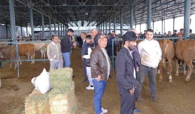 Eskişehir'de Kurban Pazarı hareketlendi:Büyükbaş ve küçükbaş fiyatları ne kadar?