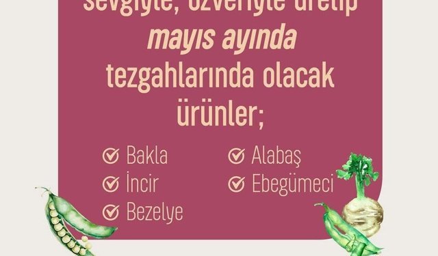 Eskişehir'de kadın üreticilerin mayıs ürünleri tezgâhlarda yerini aldı
