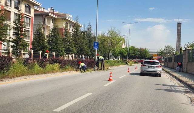 Eskişehir Odunpazarı'nda refüjlere bakım mesaisi