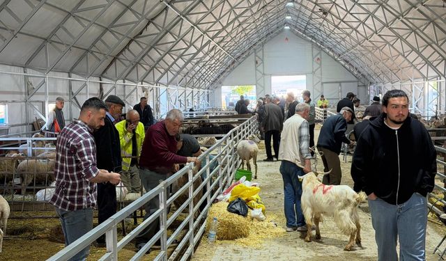 Eskişehir Hayvan Pazarı'nda kalabalık