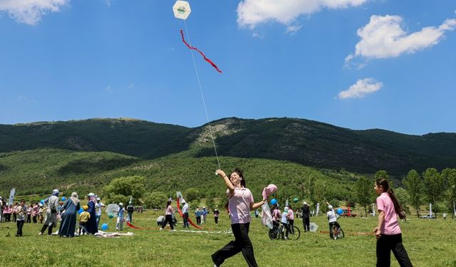 Bilecik’te uçurtma şenliği yoğun ilgi gördü