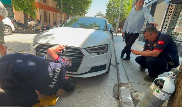 Bilecik'te itfaiyeden zorlu mesai: Yavru kedi ortalığı karıştırdı!