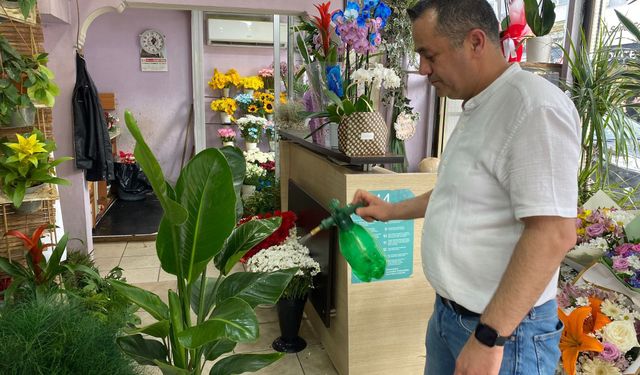 Eskişehir'de çiçekçiden yaz ayları için bitki bakım rehberi