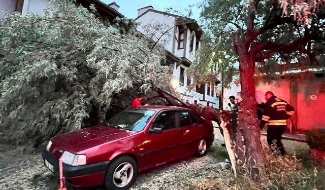 Eskişehir’de otomobilin üzerine ağaç düştü: Ekipler seferber oldu
