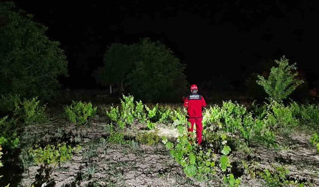 Afyon'da kayıp alarmı: Ekipler 82 yaşındaki adamı her yerde arıyor!