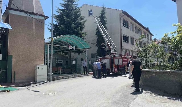 Ağaca takılan serçenin yardımına itfaiye ekipleri yetişti