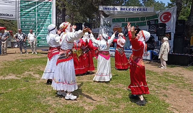 Artvinliler Küçükelmalı Tabiat Parkı'nda buluştu