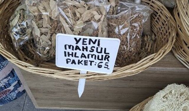 Doğal kabak liflerine ilgi azalmıyor