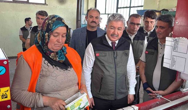 Eskişehir Orman Fidanlığı’nda üretim rekoru