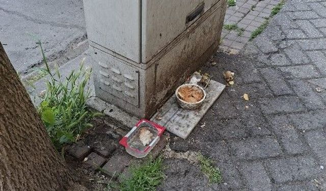 Eskişehir'de bırakılan yemekler tepki çekti