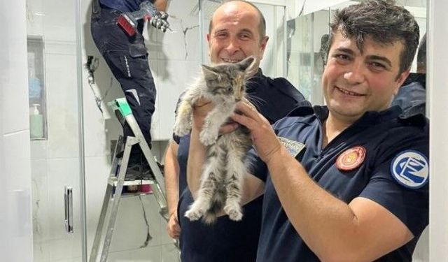 Eskişehir'de kedi kurtarma operasyonu!