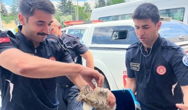 Aracından gelen sesi duydu, kedinin hayatını kurtardı!