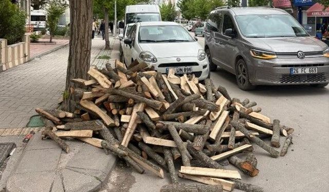 Cadde ortasına bırakıp gittiler!