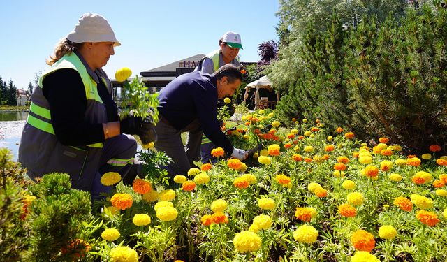 Tepebaşı’nın parkları yaz renklerine büründü!
