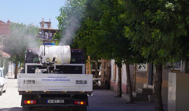 Eskişehir'de ekiplerinden yaz mesaisi
