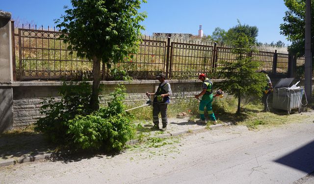 Tepebaşı’nda yabani ot temizliği başladı