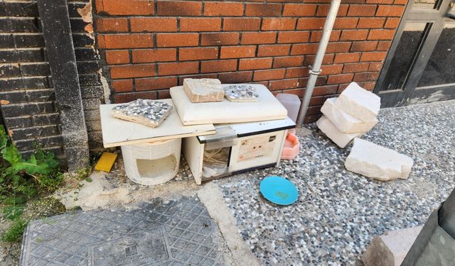 Eskişehir'de sokak hayvanları için umut olan kulübeler tartışma konusu oldu