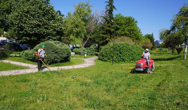 Eskişehir'in Tunalı Mahallesi'nde peyzaj mesaisi