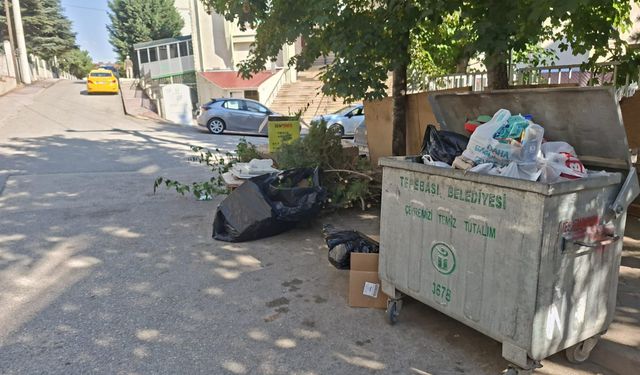 Eskişehir'de atıklar yola taştı