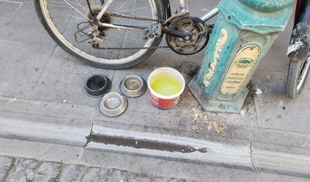 Sokak hayvanları için bırakılan kapların temizlenmemesi tepki topluyor!