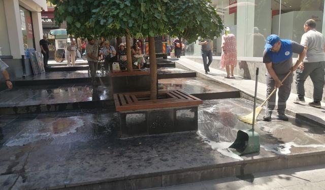 Eskişehir sokaklarında ilaçlı temizlik