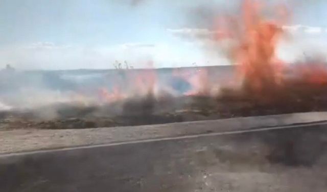 Eskişehir'de biçerdöverden sıçrayan kıvılcım araziyi küle çevirdi!