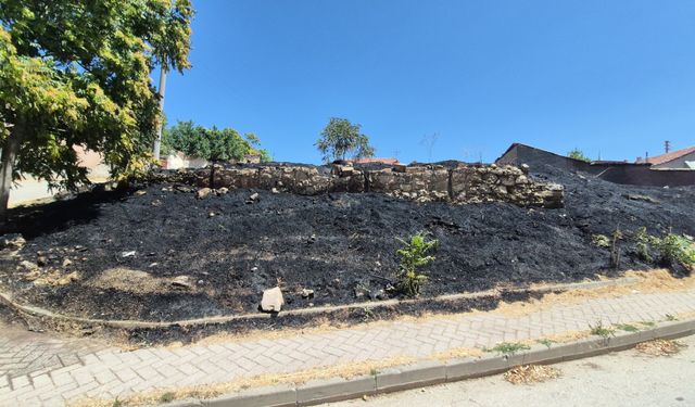 Eskişehir'de boş arazide çıkan yangın mahallede paniğe yol açtı