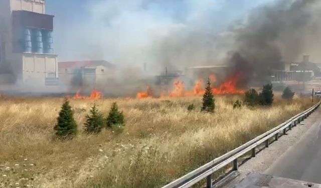 Afyon’da anız yangını: duman trafiği aksattı