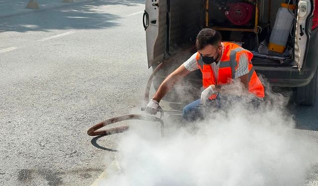 Bilecik'te haşerelere karşı ilaçlama seferberliği