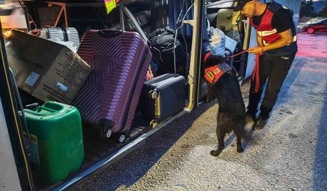 Bilecik'te trafik denetimi: Kural ihlaline 32 bin liralık ceza