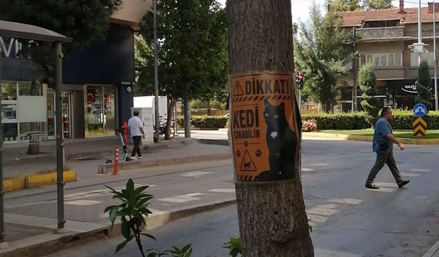 Eskişehir'de esnaftan kedi uyarısı: Ağaca fotoğraflı not astı