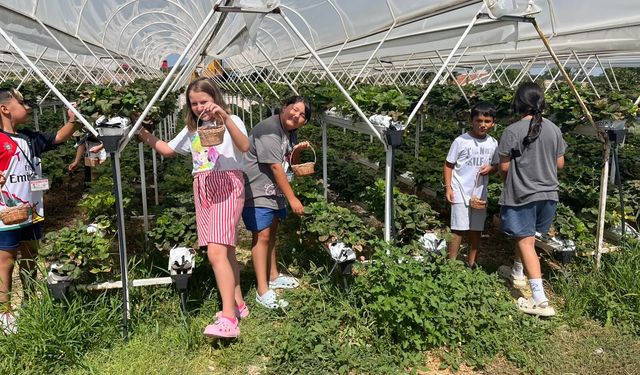 Eskişehir'de doğayı keşfetmek isteyenler için müjde: Kayıtlar 17 Temmuz'da son!